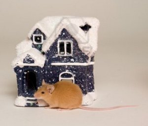 4017016-mouse-animal-vermin-pet-companion-skinning-rodent-tail-nose-house-snow-snow-winter-season-gifts-chri